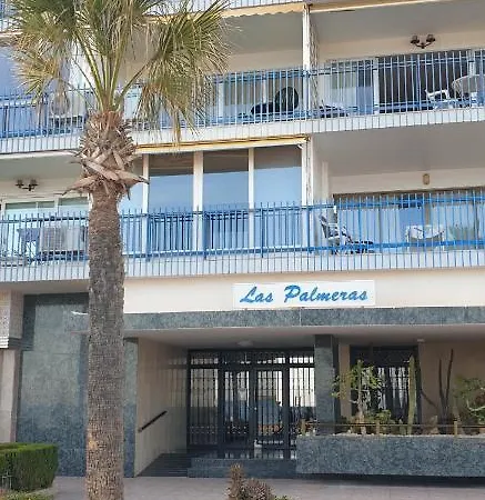 Palmeras 6 If Benidorm