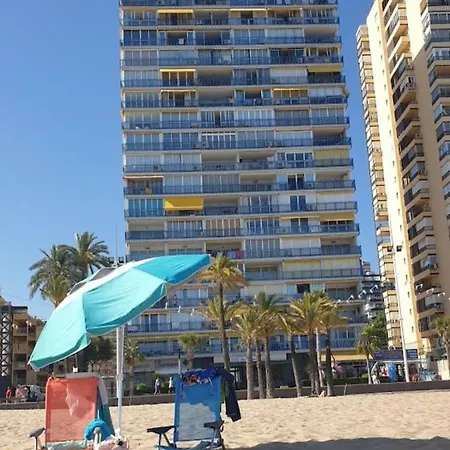 Palmeras 6 If * Benidorm