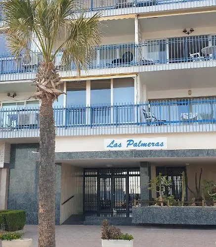 Palmeras 6 If Benidorm