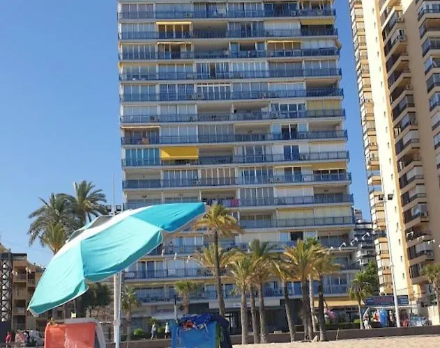 Palmeras 6 If * Benidorm