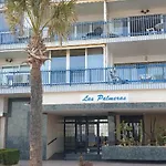 Palmeras 6 If Benidorm